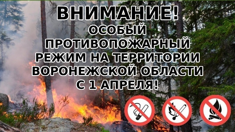 Главное управление МЧС России по Воронежской области.