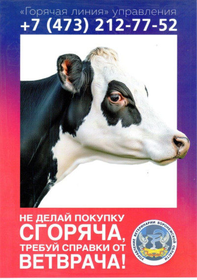 Информационные памятки для населения.. Информационные памятки для населения..
